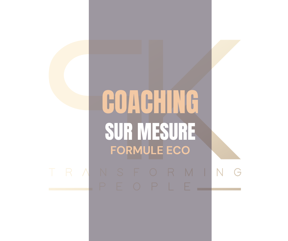 COACHING SUR MESURE FORMULE ECO